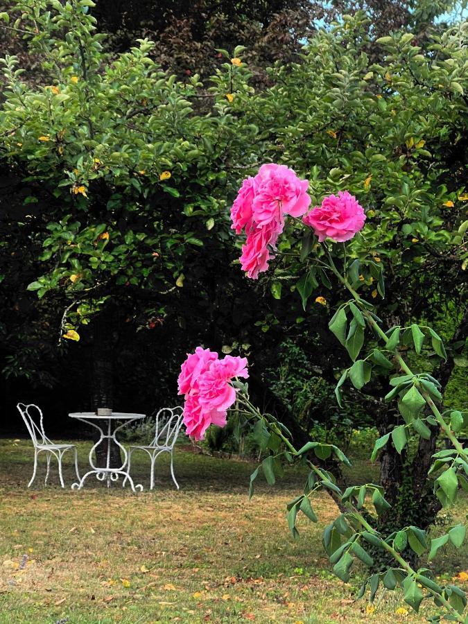 L'Escale Chambres Et Table D'Hotes Verdun-sur-le-Doubs Екстериор снимка