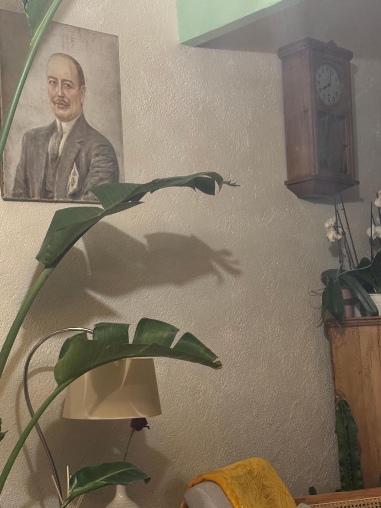L'Escale Chambres Et Table D'Hotes Verdun-sur-le-Doubs Екстериор снимка